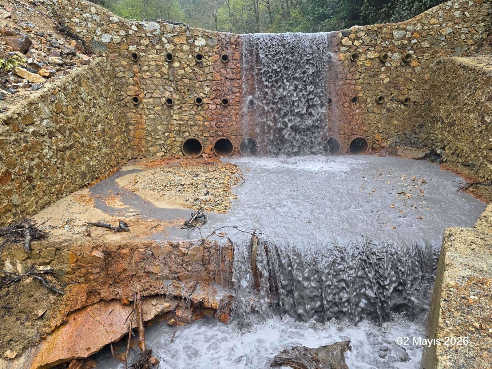 Karadeniz’de Artan Talan Ordu’ya da Yayılıyor