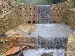 Karadeniz’de Artan Talan Ordu’ya da Yayılıyor